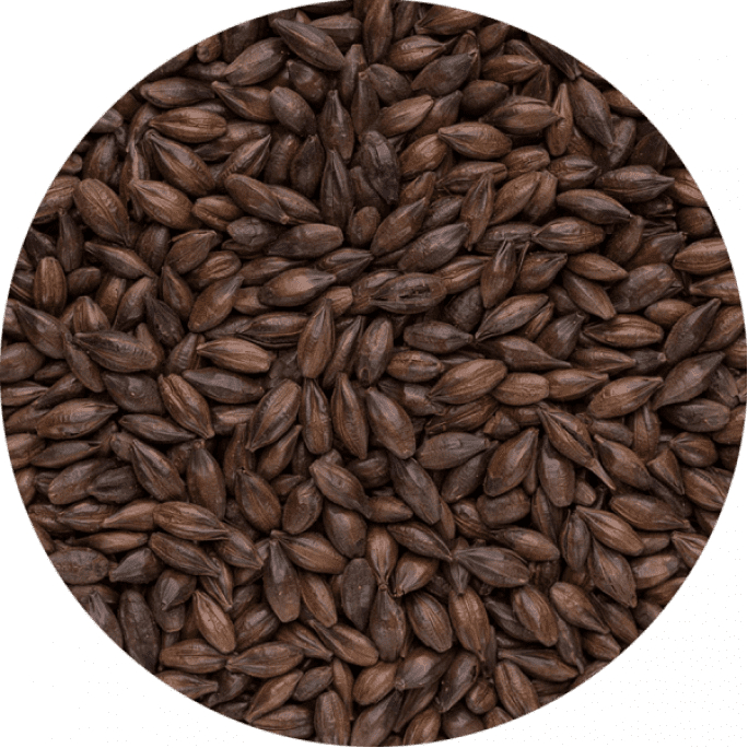 Солод ячмінний Roasted Malt Chocolate 1000 (Bindewald) 1 кг, 78 грн., Зображення 1 Солод ячмінний Roasted Malt Chocolate 1000 (Bindewald) 1 кг, Зображення 1