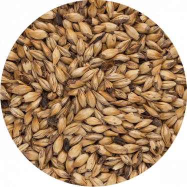 Солод ячмінний  Caramel Malt Munich 100 (Bindewald) 1 кг