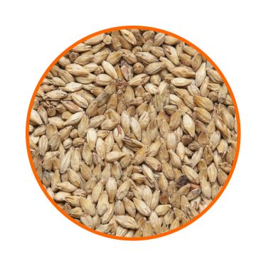 Солод ячмінний  Pale Ale Malt (Bindewald) 1 кг
