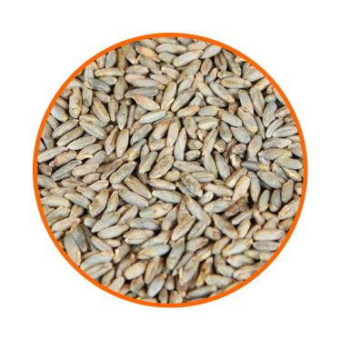 Солод  житній Rye Malt (Bindewald) 1 кг