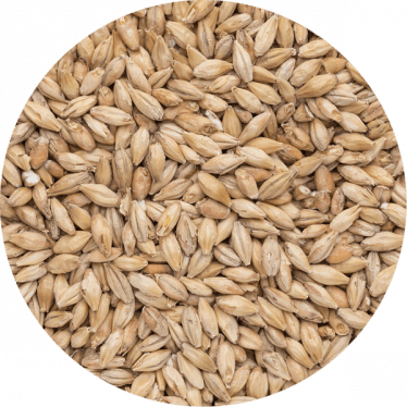 Солод ячмінний Smoked Malt Plus (Bindewald) 1 кг