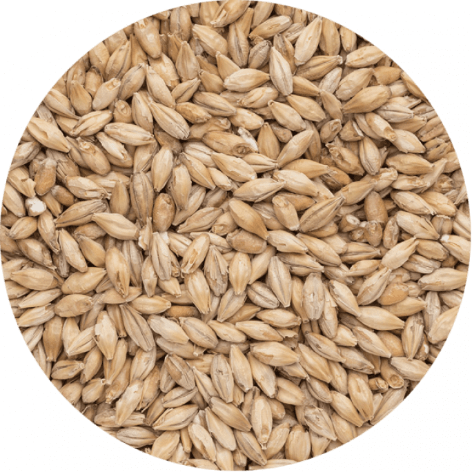 Солод ячмінний Smoked Malt Plus (Bindewald) 1 кг, 90 грн., Зображення 1 Солод ячмінний Smoked Malt Plus (Bindewald) 1 кг, Зображення 1