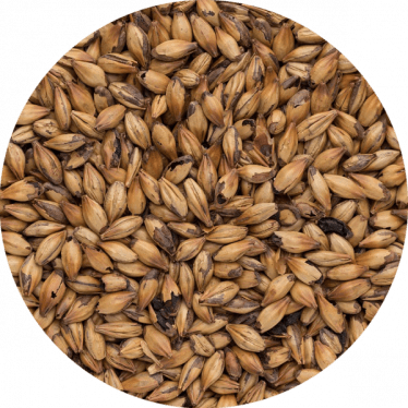 Солод ячмінний   Caramel Malt Special 300 (Bindewald) 1 кг